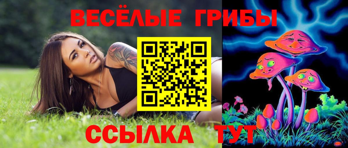 Галлюциногенные грибы Magic Shrooms  Вход с VPN  где продают наркотики  Батайск 